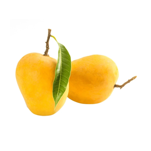 alphonso mango 1