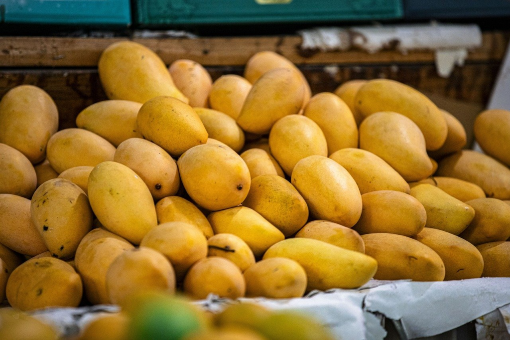 About Us! 3 mango 8283268 1280